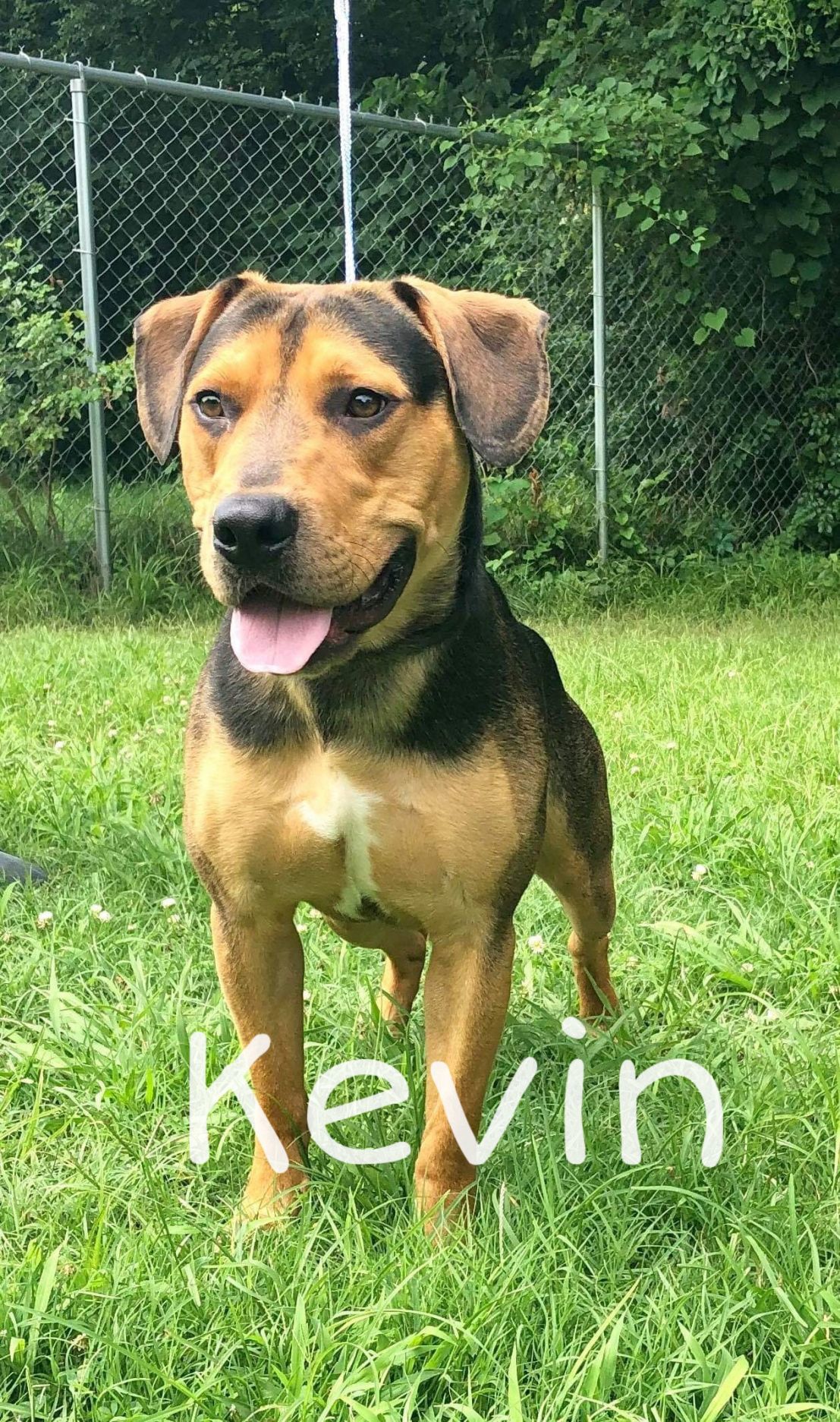 Kevin